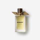 Burberry Signatures Extreme Botanicals Golden Haze Eau de Parfum original product image – Cologne King