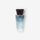 Burberry Touch Eau de Toilette original product image – Cologne King