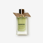 Burberry Signatures Extreme Botanicals Oud Storm Eau de Parfum original product image – Cologne King